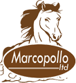 Marcopollo limited